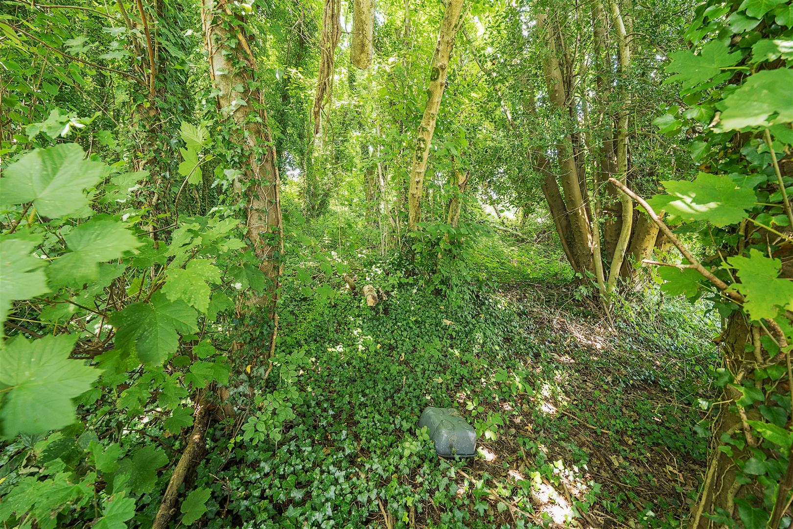 Yr Allt, Llangennech, Llanelli, SA14 8YU